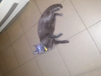 Зображення