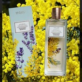 Туалетная вода Women´s Collection Powdery Mimosa