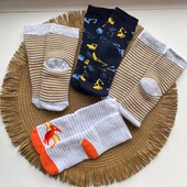 Набір 4 шт утеплених махрових термо - шкарпеток lupilu на хлопчика 23/26 2-4 роки