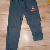 Спортивні штани для дівчинки на флісі 122/128