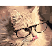 Картина за номерами Розумний котик DY184