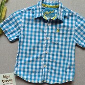 Дитяча літня сорочка 2-3 роки з коротким рукавом в клітинку для хлопчика