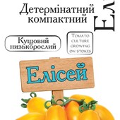 чудова низькоросла жовта сливка Томат Єлісей, 25 насінин