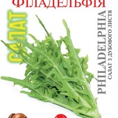 Салат Філадельфія (500 насінин!) з солодким, хрустким і м'яким смаком.