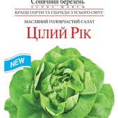 Салат Цілий рік. 1000 насінин!!! Морозостійкий, посухостійкий придатний для вирощування круглий рік.