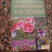 Самі популярні кімнатні рослини