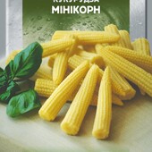 Кукурудза цукрова Мінікорн.Велика упаковка 20 г( більше 400 шт).Їдять і консервують цілим качанчиком