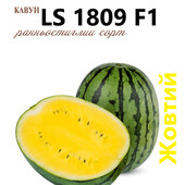 Найсолодший жовтий кавун LS 1809.,15 насінин