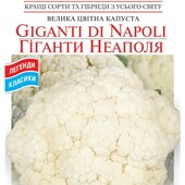 Цвітна капуста Гіганти Неаполя.