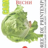 Салат батавія Золото весни. Все сезонний салат, витримує спеку.