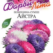 Насіння айстри Помпонна суміш,