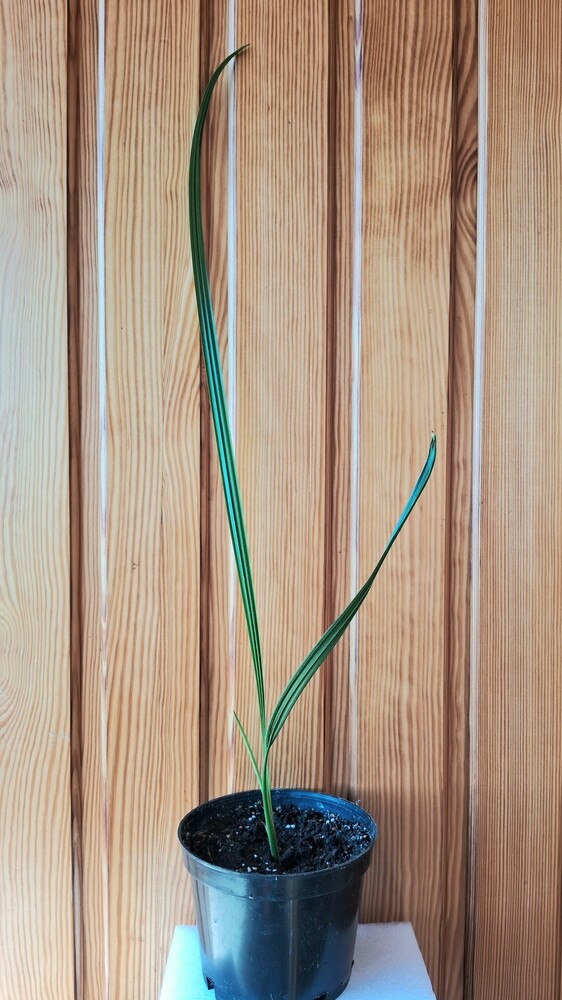 Фото №2