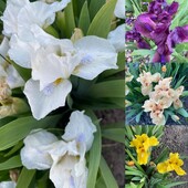 Фото №3