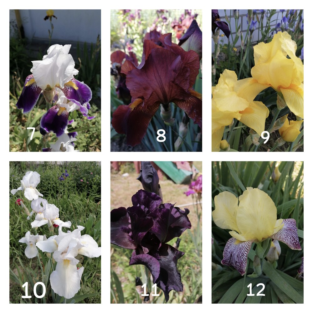 Фото №2