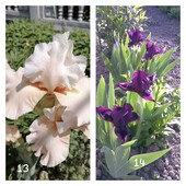 Фото №3