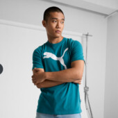 Футболка Puma чоловіча, Оригінал. розмір L, нюанс