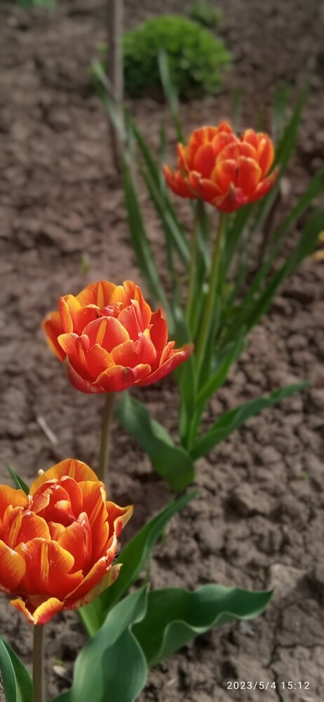 Фото №2