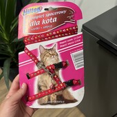 Шлея з повідцем
