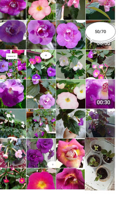 Фото №1