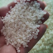 Рис 2.8 кг