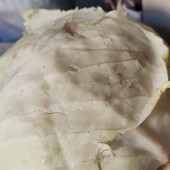 Капуста домашня 6 кг