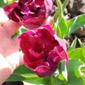 Фото №3