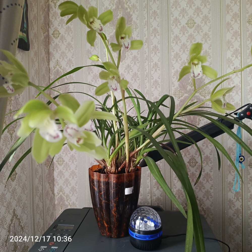 Фото №2