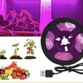 Фито лента для комнатных растений