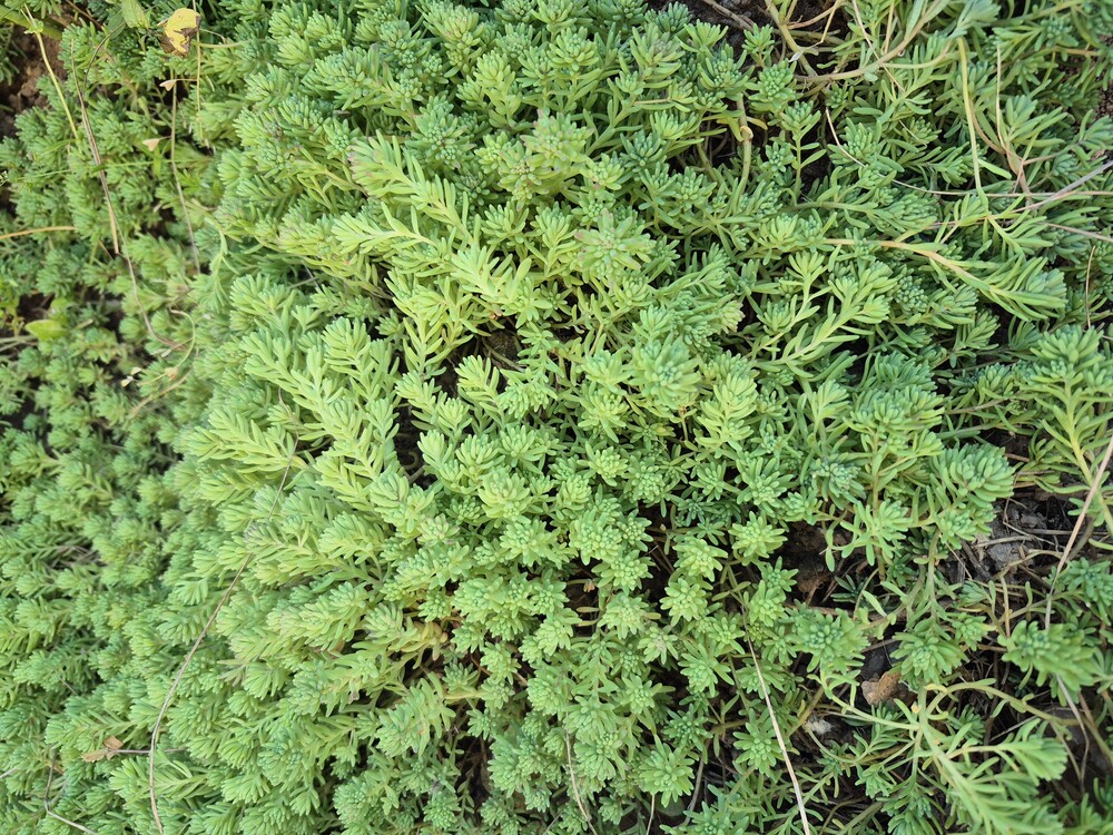 Фото №2