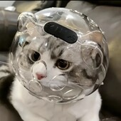 Шолом для котів.