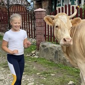Лосіни