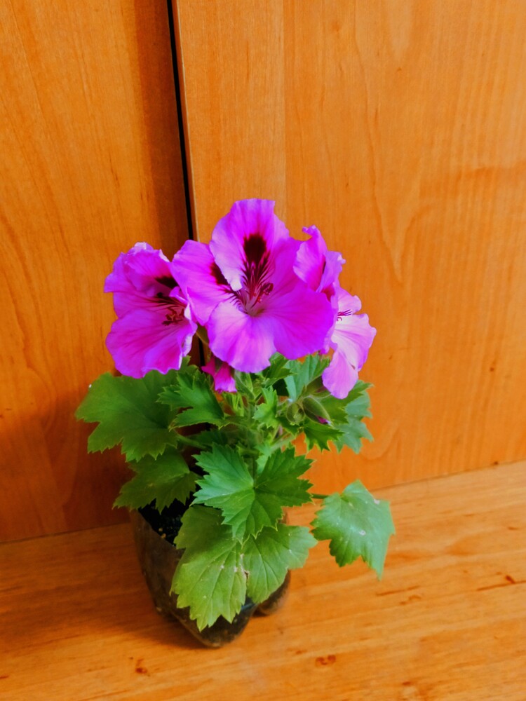 Фото №1