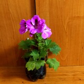 Фото №3