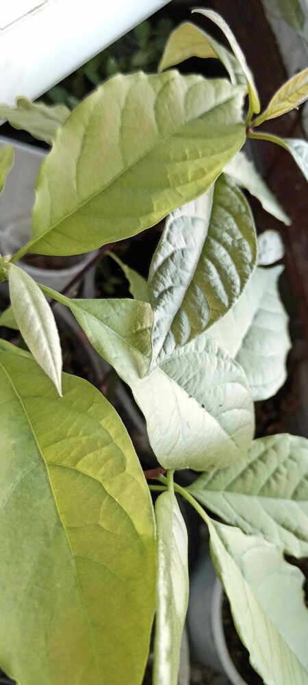 Фото №2