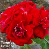 Фото №3