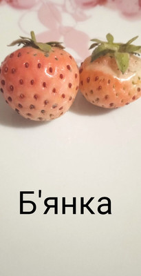 Фото №1