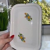 Лоток эмалированный для холодца с крышкой