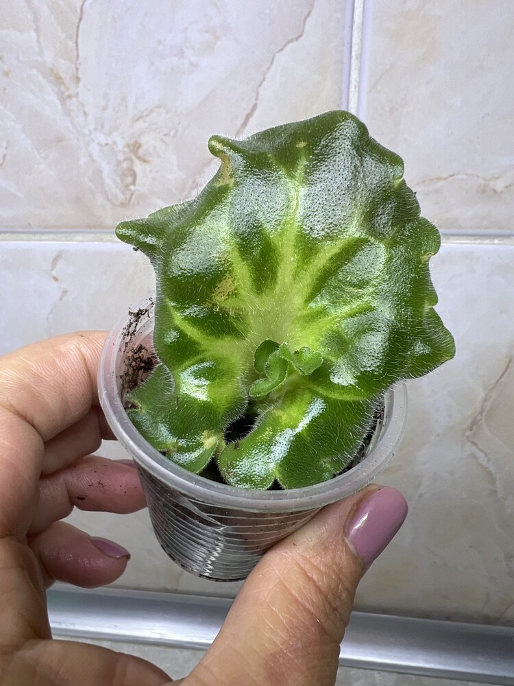 Фото №2