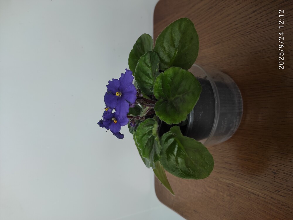 Фото №2