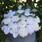 Фото №3