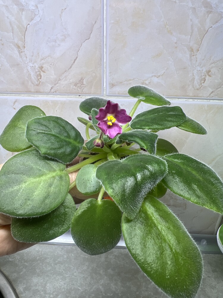 Фото №2