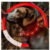 ♡Светящийся led ощейник.описание на фото