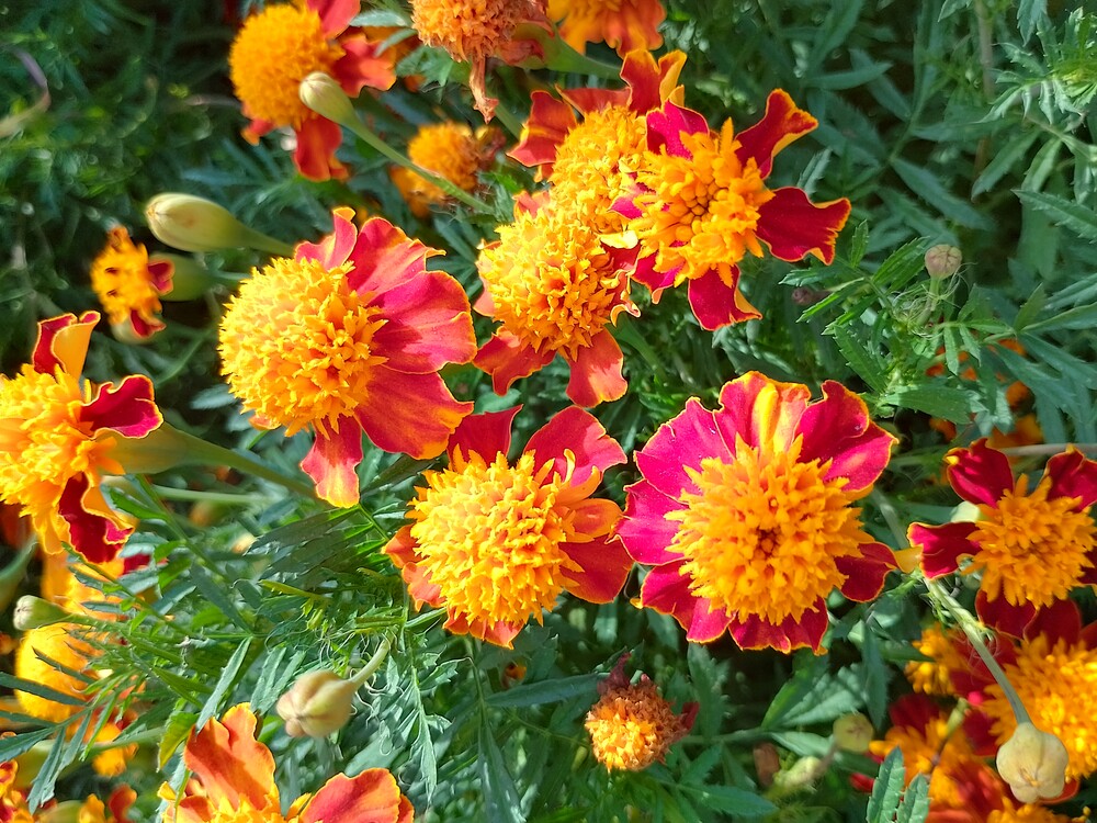 Фото №2