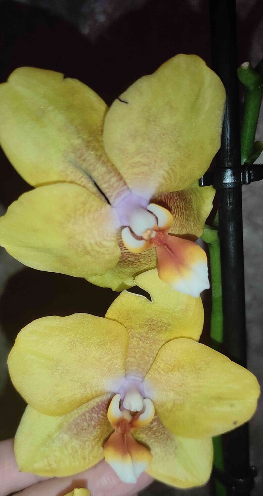 Фото №2