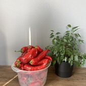 Перчиця гострий перець 1кг