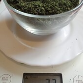 Зелень кропу, лот 30 грам
