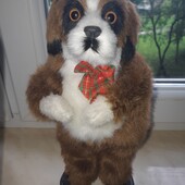 Мила танцююча та співаюча собачка