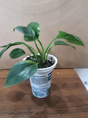 Фото №1 class=