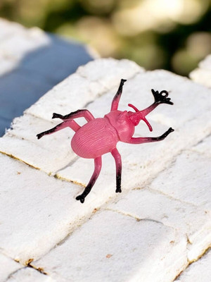 Фото №1 class=