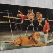 Календарик СРСР 1985